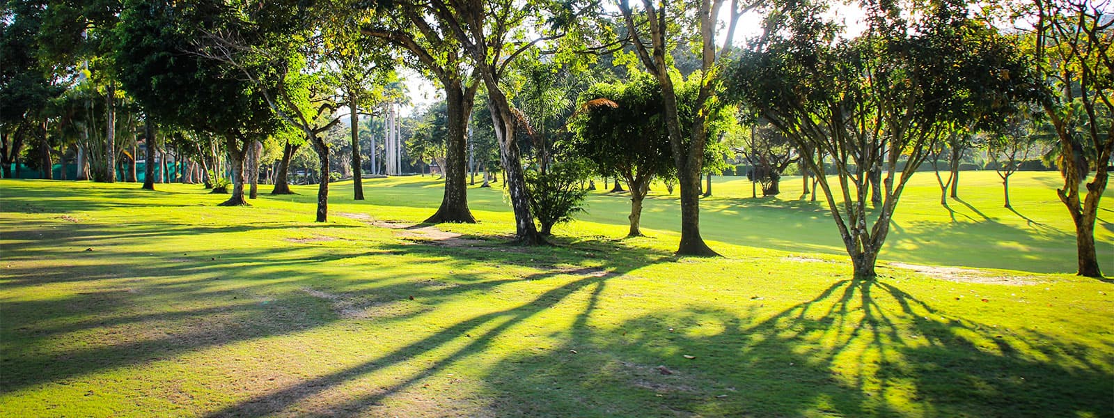 Campo de golf 18 hoyos